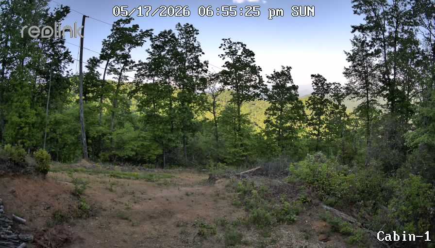 Camera image 00