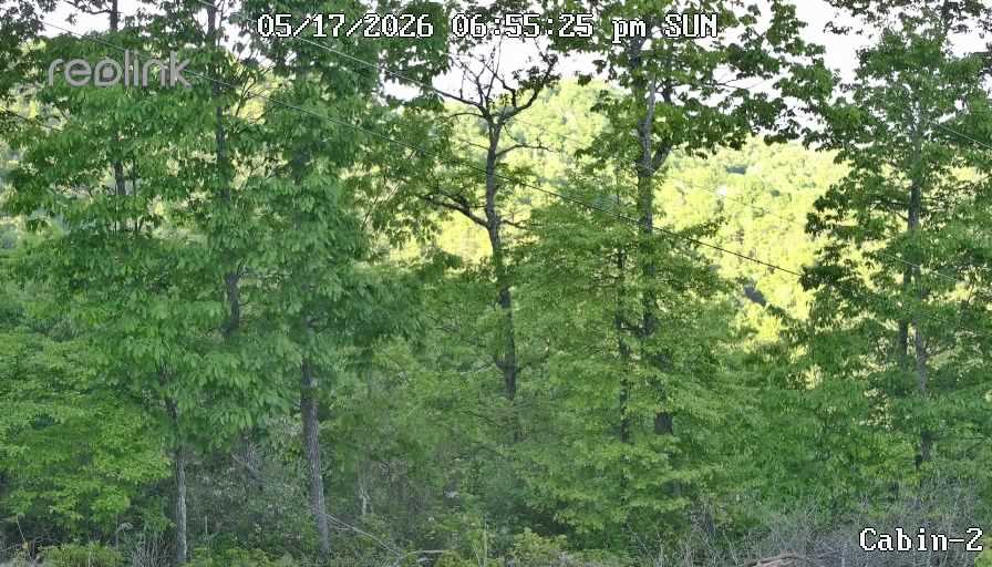 Camera image 01