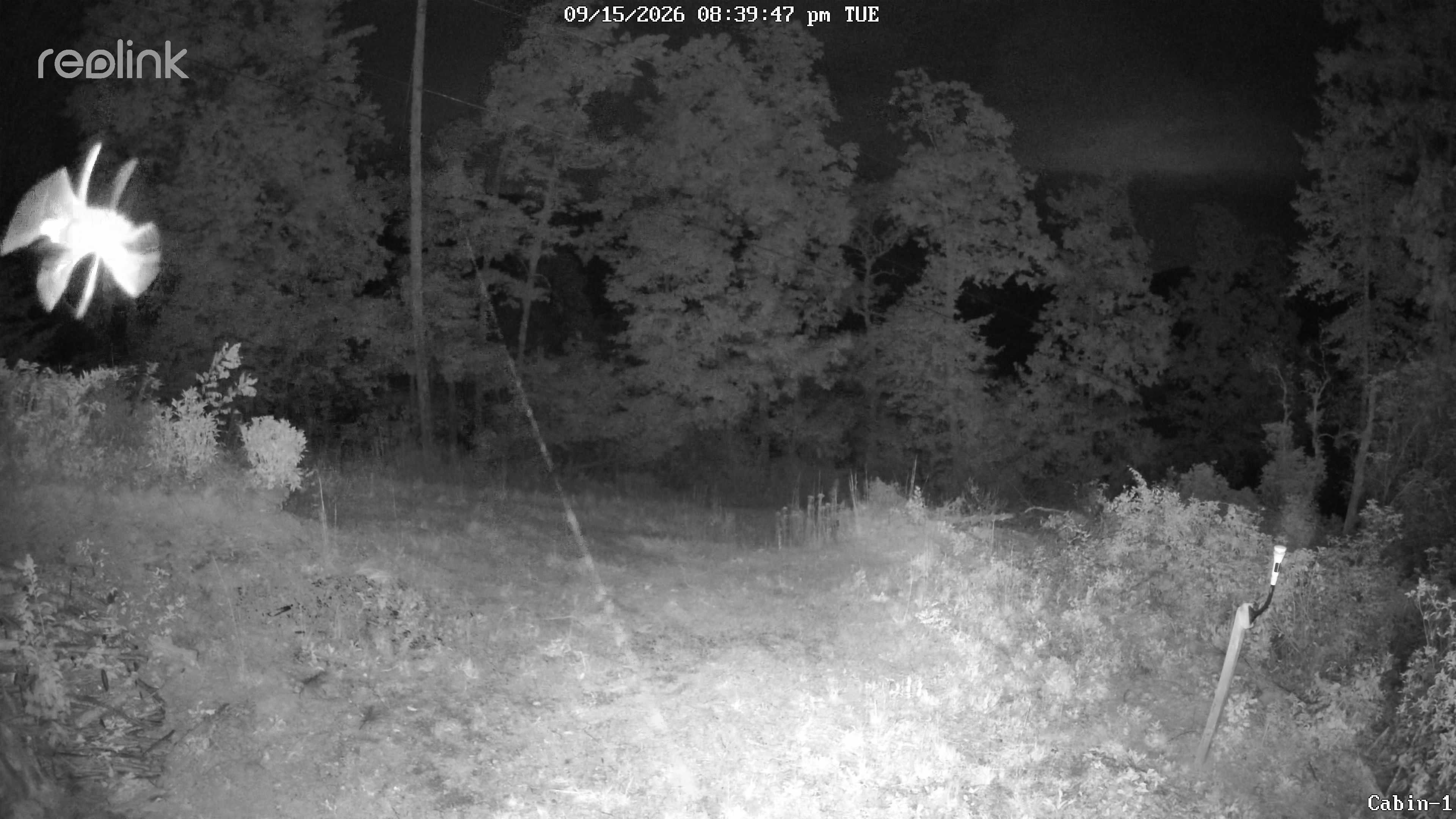 Camera image 00